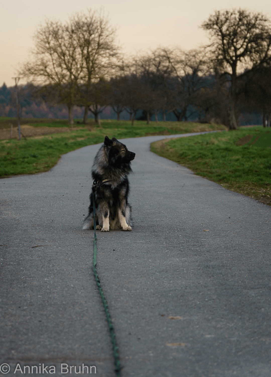Nö ich geh nicht mehr weiter